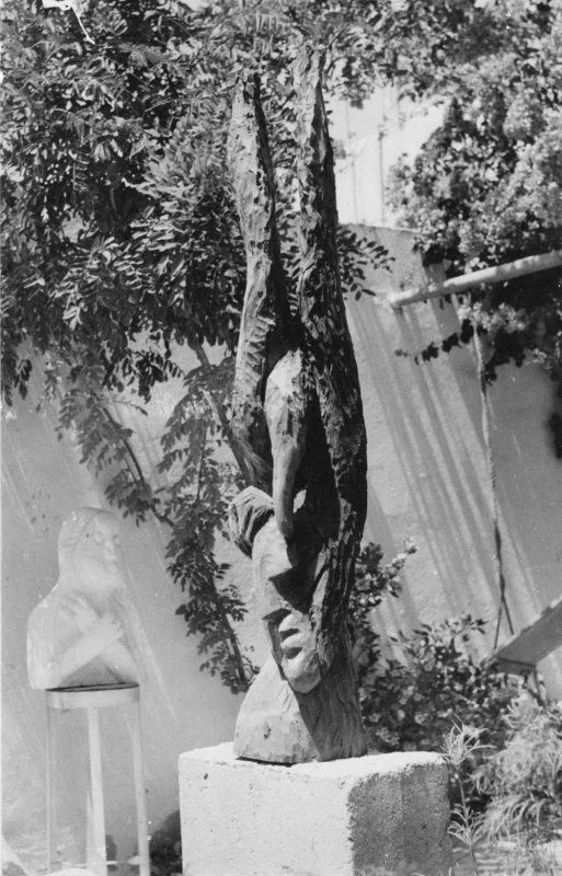 דמות עם ציפור - עץ אקליפטוס